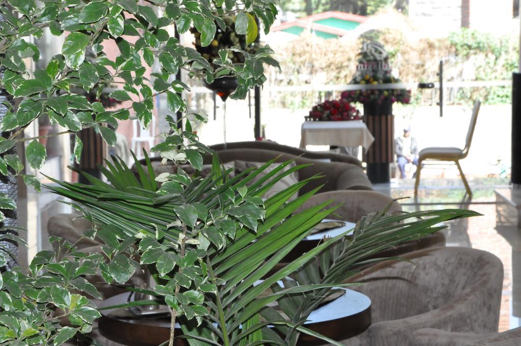 Addissinia Hotel Bagian luar foto